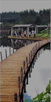 山庄环境